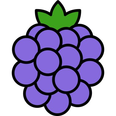 üzüm meyvesi, illüstrasyon, beyaz arkaplanda vektör