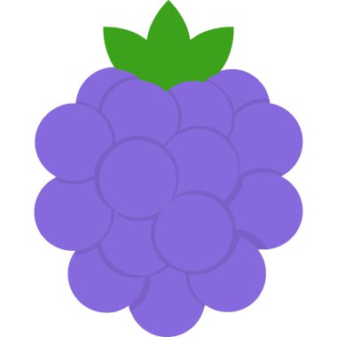 Üzüm meyve ikonu. Üzümlerin basit çizimi