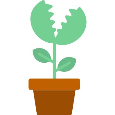 Beyaz arkaplanda izole edilmiş kaktüs simgesi vektörü, bitki şeffaf işareti