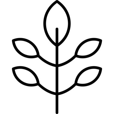 Doğa yaprağı ikonu. beyaz arkaplanda izole edilmiş web tasarımı için yaprak vektör simgesi bırakır