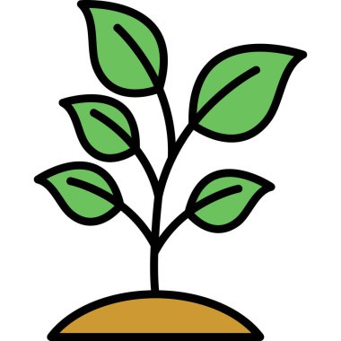 Bir tencereye büyüyen bitki