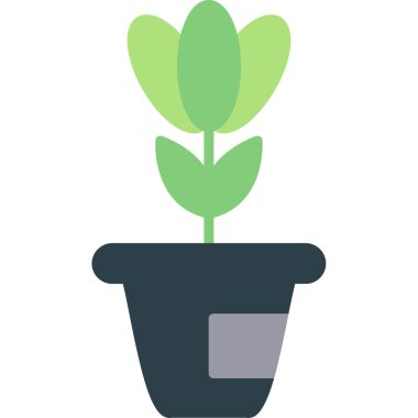 bitki ikonu, vektör illüstrasyonu. düz dizayn