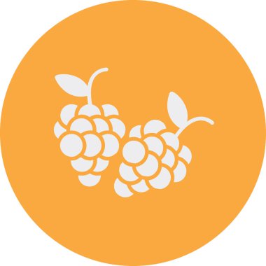 Taze meyve, illüstrasyon, vektör, beyaz arka planda.