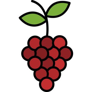 kırmızı ahududu, illüstrasyon, beyaz arkaplanda vektör.