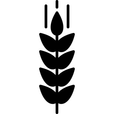 Buğday taneleri simgesi, vektör illüstrasyonu