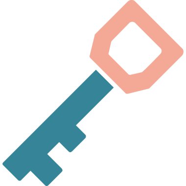 Anahtar. Web simgesi basit illüstrasyon