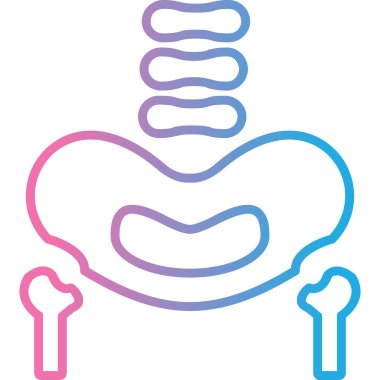 insan anatomisi vektör çizim