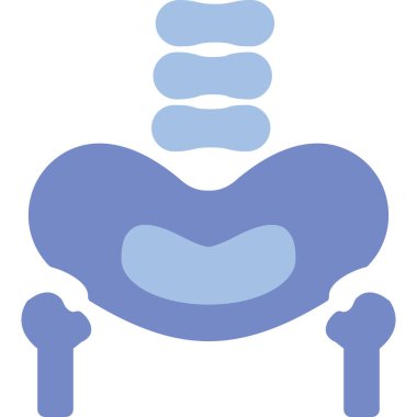 İnsan omurga vektör çizimi tasarımı