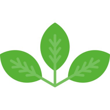 beyaz arkaplanda yeşil yaprak simgesi