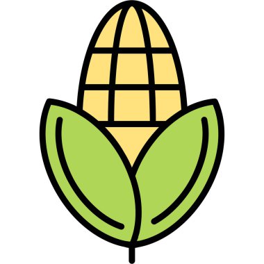 Mısır yapraklı mısır bitkisi