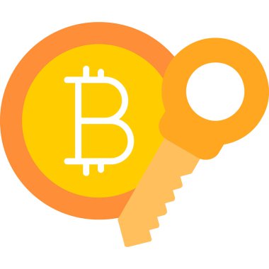 Bitcoin anahtar düz vektör simgesi