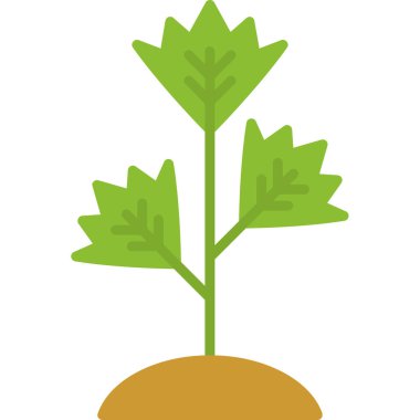 çömleğe bitki, illüstrasyon, beyaz arkaplanda vektör.