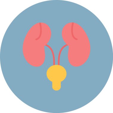 Böbrekler. Web simgesi basit illüstrasyon.