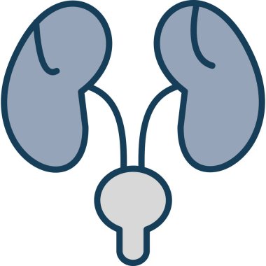 Böbrek. Web simgesi basit illüstrasyon