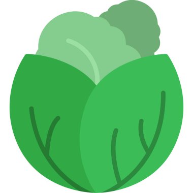 yeşil lahana vektör illüstrasyonu