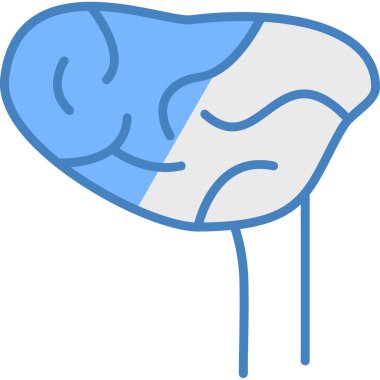 Mide anatomisi simgesi, taslak biçimi