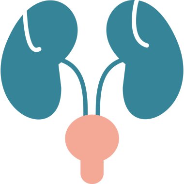 İnsan böbreği. Web simgesi