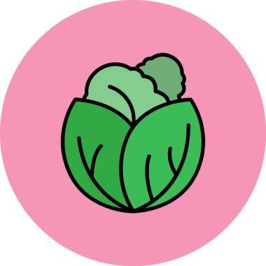 lahana vektörü simgesi grafik ve web için basit vektör illüstrasyonuName