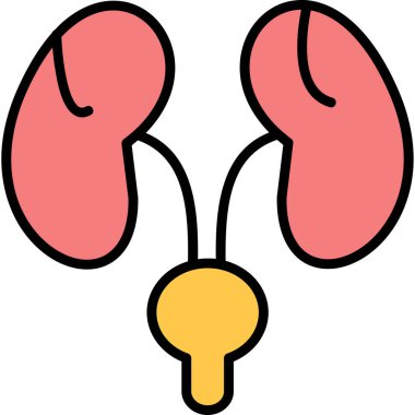 İnsan böbreği ikonu. İnsan organı vektör simgesinin ana hatlarını izole et