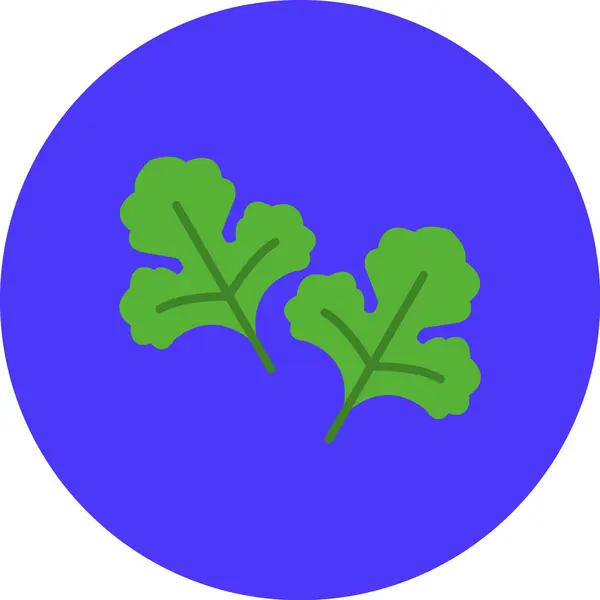 Lahana. Web simgesi vektör illüstrasyonu