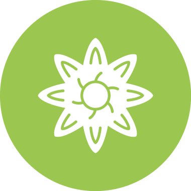 beautiful flower vector glyph icon