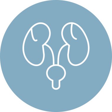 Böbrek. Web simgesi basit illüstrasyon