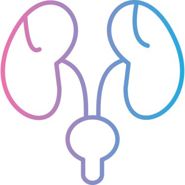 Böbrek. Web simgesi basit tasarım