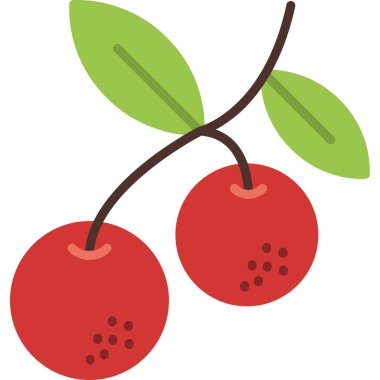 Kiraz, illüstrasyon, beyaz arkaplan vektörü.