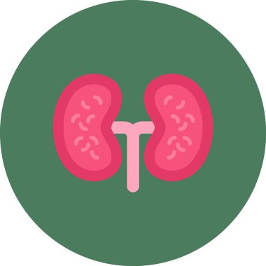 böbrekler simge vektör çizim