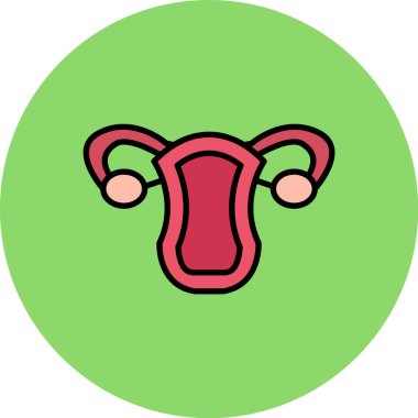 Kadın üreme sistemi vektör çizim