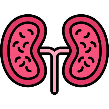 Böbrek simge vektör çizim