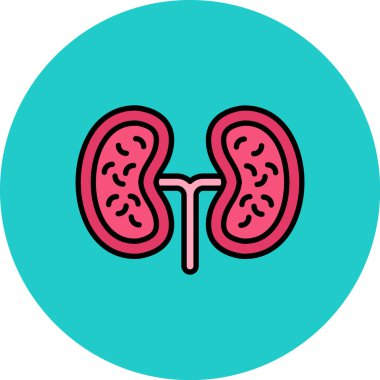 insan böbrek simgesi vektör illüstrasyon