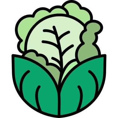 Lahana. Web simgesi basit illüstrasyon