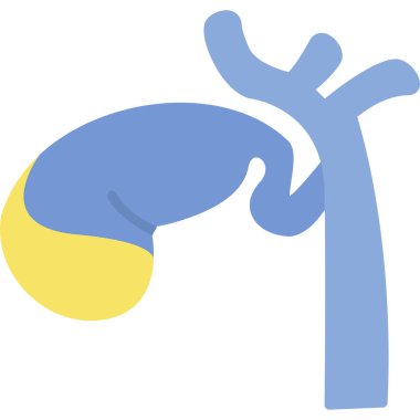 İnsan organı simgesi, vektör illüstrasyonu beyaz arkaplanda izole edildi