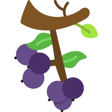 üzüm dalı vektör illüstrasyonu