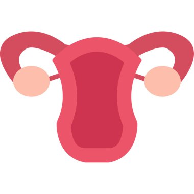 bir uterusun düz renk tasarım çizimi