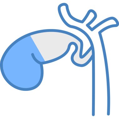 İnsan böbreği simgesi, çizgi tasarımı