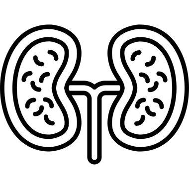 İnsan böbreği ikonu. Beyaz arkaplanda izole edilmiş web tasarımı için insan böbreği ikonu