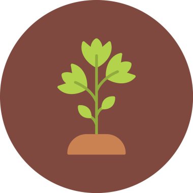 Maydanoz Simgesi, Basit Renk Vektörü İllüstrasyonu