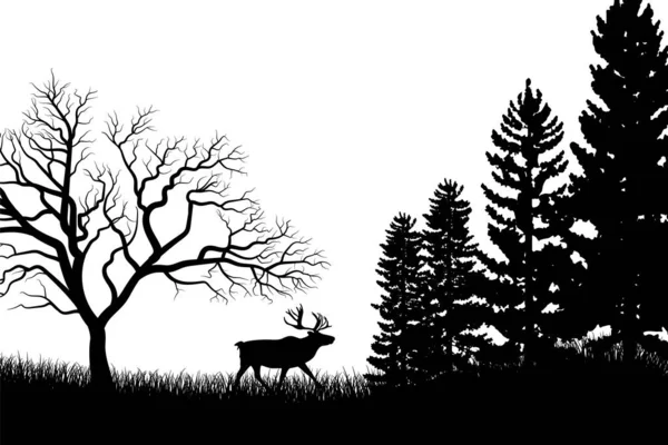 Fondo Silueta Árbol Con Árboles Altos Pequeños Silueta Forestal Ilustración — Archivo Imágenes Vectoriales