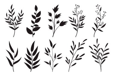 Bitkiler, bitkiler ve vektör çizimleriyle botanik yaprak silueti koleksiyonu