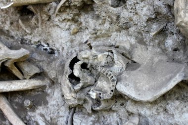 Toplu mezarlı kafatası kemikleri. Soykırım teması. Yüksek kalite fotoğraf