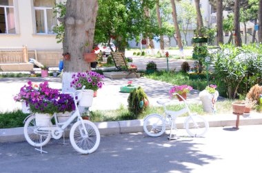 Şehir parkından güzel bir manzara. Çiçeklerle süslenmiş beyaz bisiklet