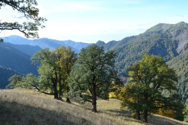 Azerbaycan 'da doğa koruma altında
