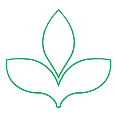 Tropik yapraklar. Beyaz arka planda bir yaprak çizimi. Vektör yaprağı ve illüstrasyon yaprağı. Yaprak simgesi