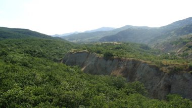 Dağlık ve etekli orman yığını. Doğanın dokunulmamış bölgeleri. Yoğun orman kuşağı. Azerbaycan.