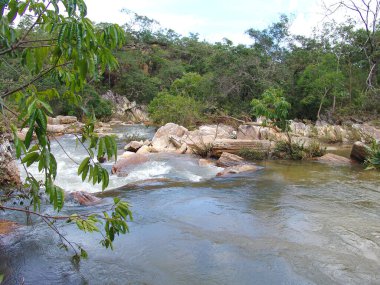 Dağlar ve ormanlar arasında akan bir dağ nehri..