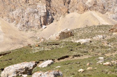 Kafkasya Dağları 'ndaki Shahdag zirvesinden gelen sert kayaların ve yeşil ovaların mükemmel bir manzarası. Arkaplan veya dergi için yüksek kaliteli doğa görüntüsü