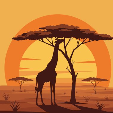 Zürafa bir ağacın altında duruyor güneş bir Afrika savanasında batarken seyahat ve hayvanlarla ilgili tasarımlar için mükemmel..