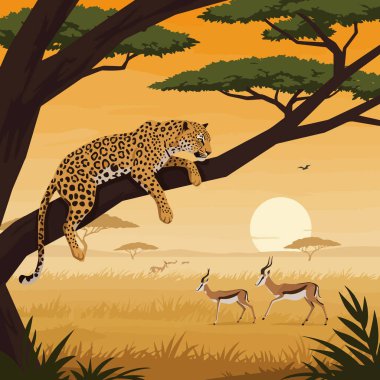 Bir leopar, Afrika savanındaki ceylanları gözlemleyen bir ağaç dalında dinlenir. Bu görüntü doğa ve vahşi yaşam için mükemmeldir..